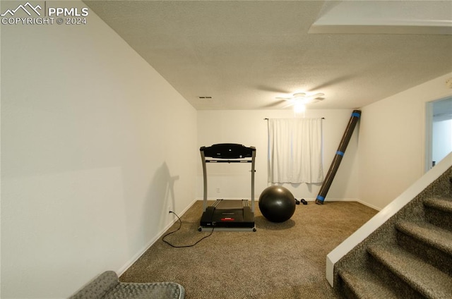 exercise room featuring a textured ceiling, carpet flooring, and ceiling fan