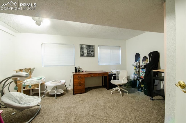 office space with light carpet and a textured ceiling