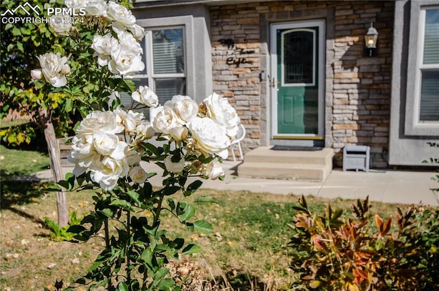 view of property entrance