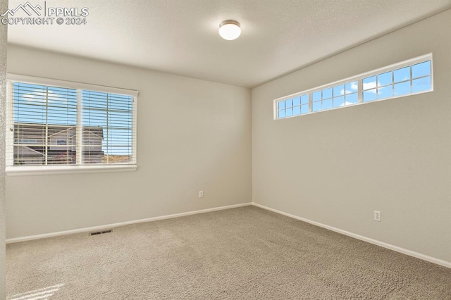 empty room featuring carpet flooring and a healthy amount of sunlight