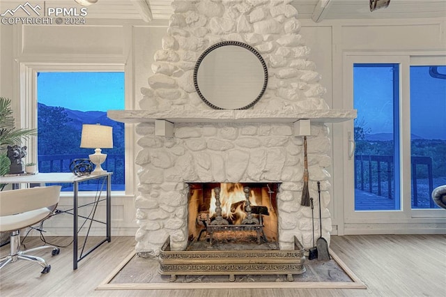 details with a mountain view, wood-type flooring, and a fireplace