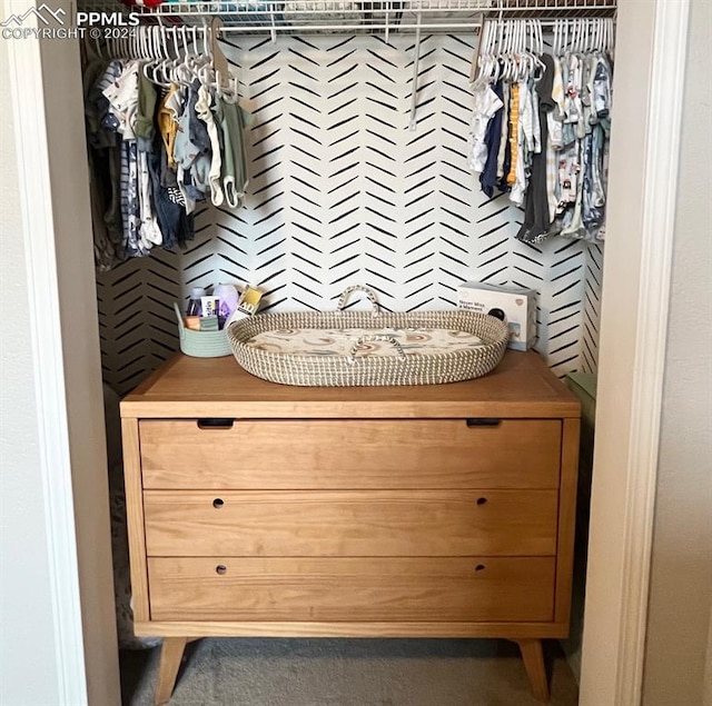 view of closet