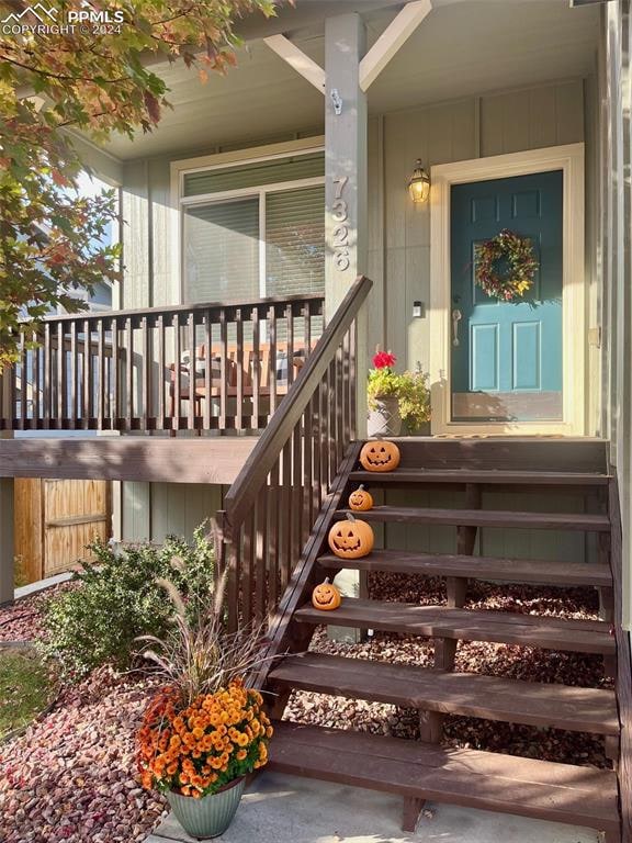 property entrance featuring covered porch