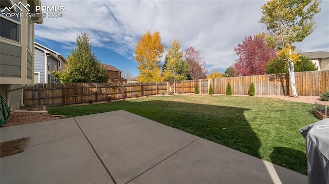 view of yard with a patio