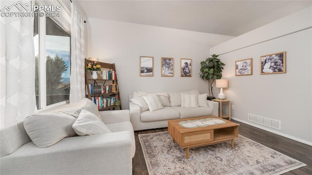 living room featuring dark wood-type flooring