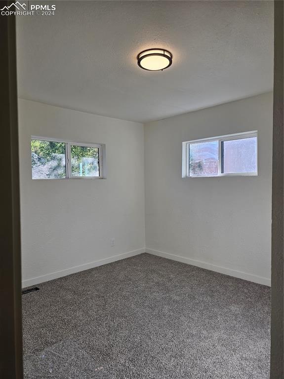 spare room with carpet flooring, plenty of natural light, and a textured ceiling