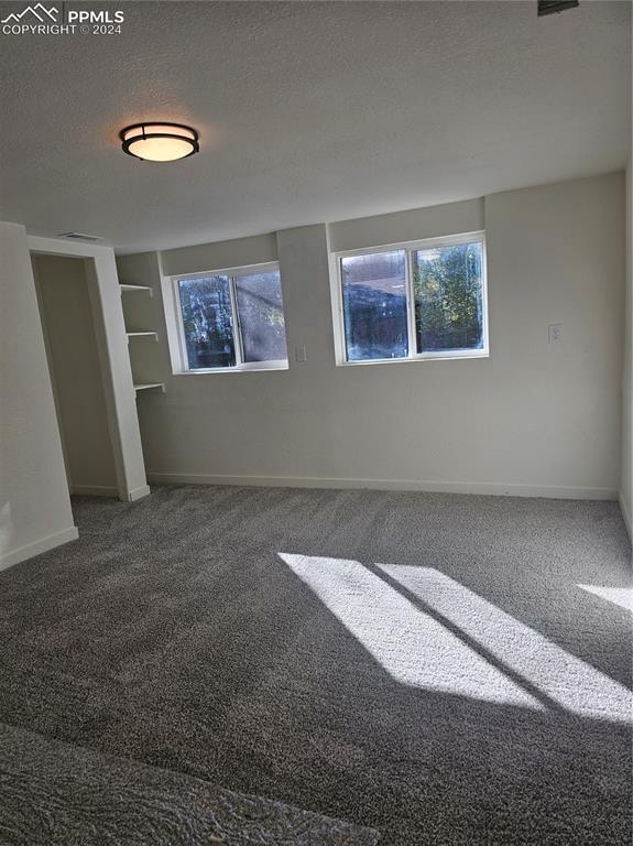 carpeted spare room with a textured ceiling and a healthy amount of sunlight