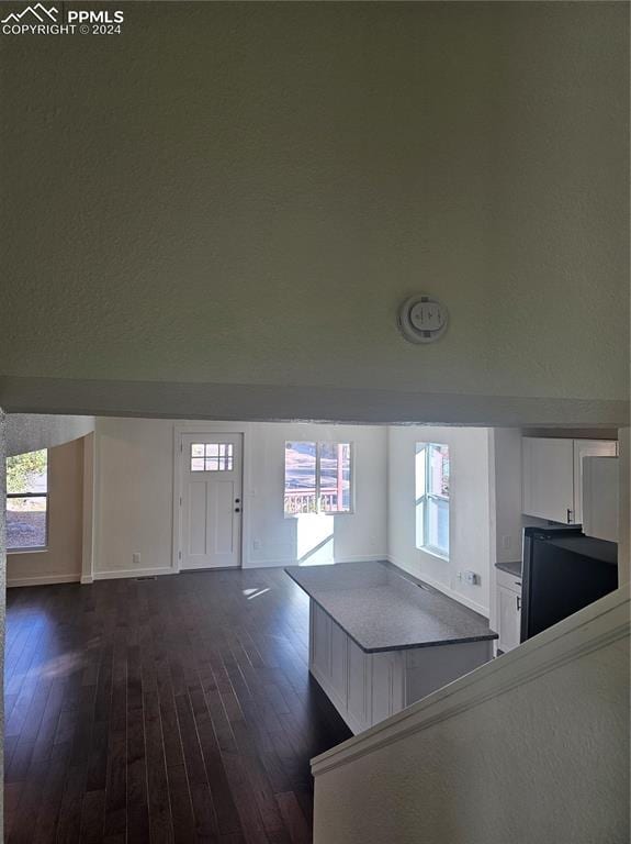 entrance foyer with dark hardwood / wood-style floors