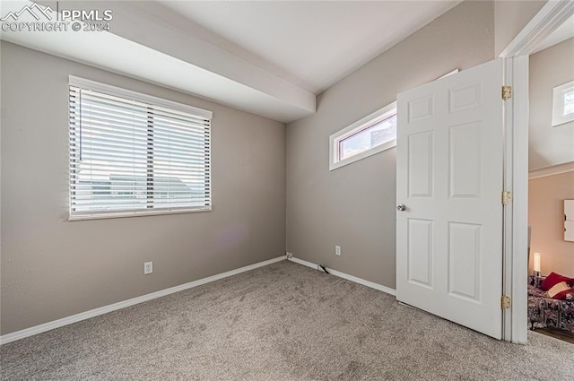 carpeted spare room with a healthy amount of sunlight