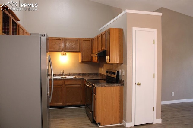 kitchen with lofted ceiling, dark wood-type flooring, appliances with stainless steel finishes, and sink