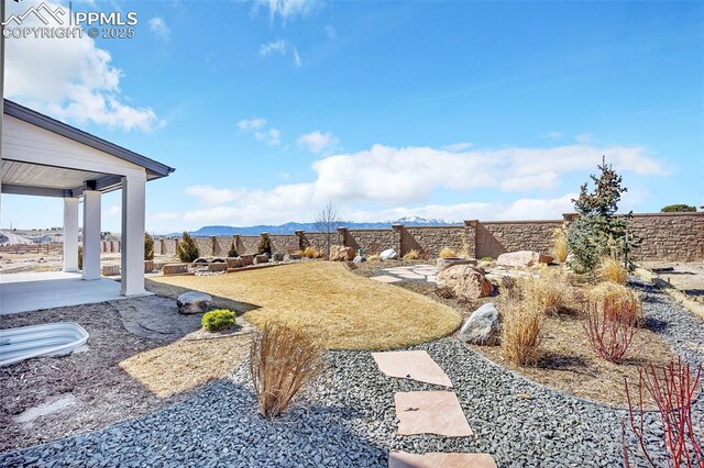 8542 Noreen Falls Dr, Colorado Springs, CO 80924 - fenced backyard featuring a patio and a mountain view