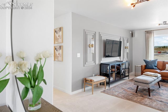 living room with light colored carpet