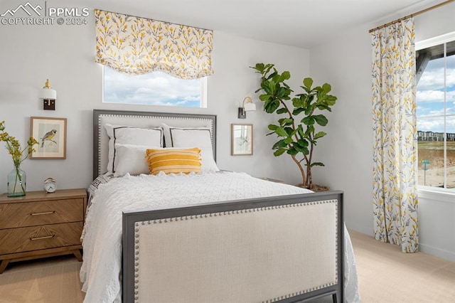 bedroom with multiple windows and light colored carpet