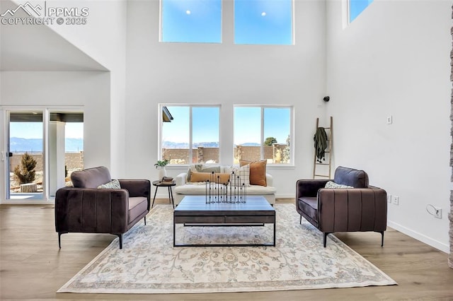 8542 Noreen Falls Dr, Colorado Springs, CO 80924 - living area featuring a towering ceiling, wood finished floors, healthy amount of natural light, and baseboards