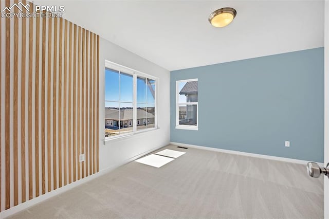 8542 Noreen Falls Dr, Colorado Springs, CO 80924 - carpeted spare room with baseboards