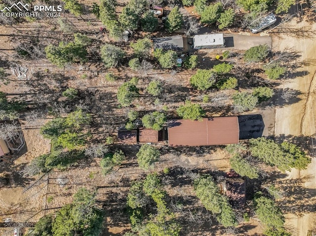 1063 Blossom Rd, Woodland Park CO, 80863 land for sale