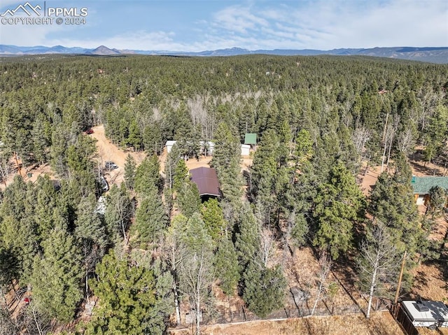 Listing photo 2 for 1063 Blossom Rd, Woodland Park CO 80863