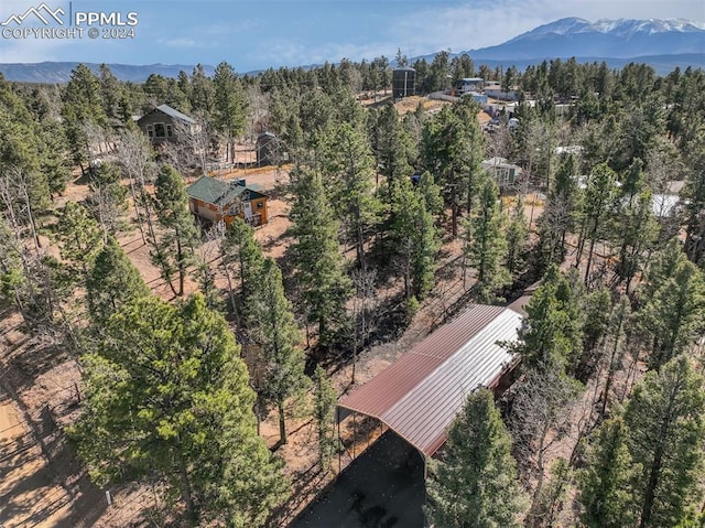 Listing photo 3 for 1063 Blossom Rd, Woodland Park CO 80863