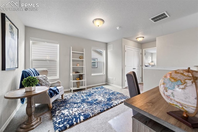 carpeted home office with a textured ceiling