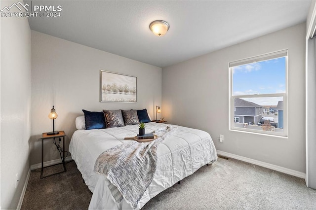 bedroom with dark colored carpet