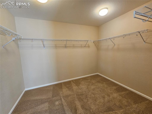 walk in closet featuring carpet flooring