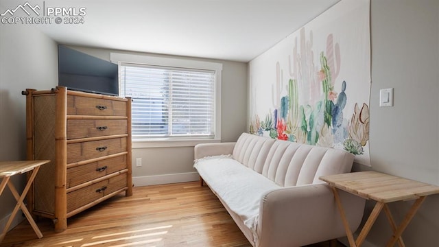 living area featuring light hardwood / wood-style flooring