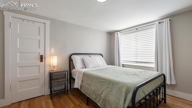 bedroom featuring wood-type flooring