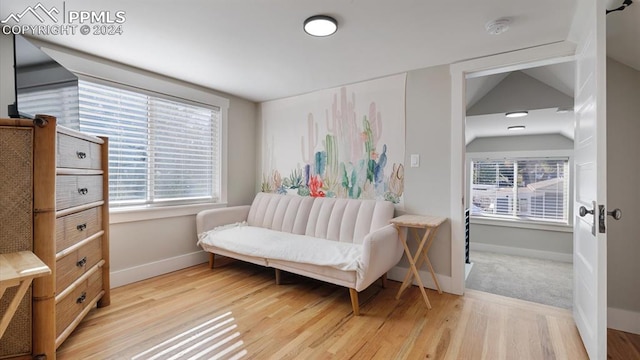 bedroom featuring hardwood / wood-style floors and vaulted ceiling