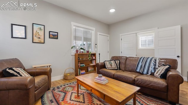 living room featuring hardwood / wood-style flooring