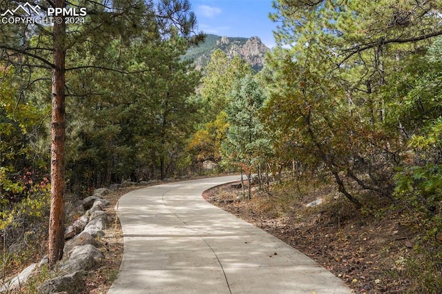 view of community featuring curved driveway and a wooded view
