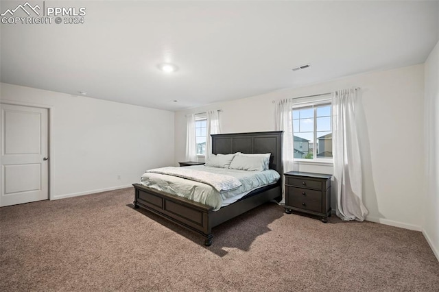 carpeted bedroom featuring multiple windows