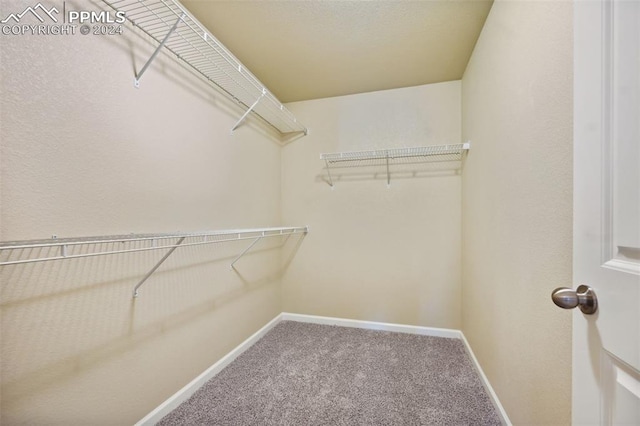 walk in closet featuring carpet flooring