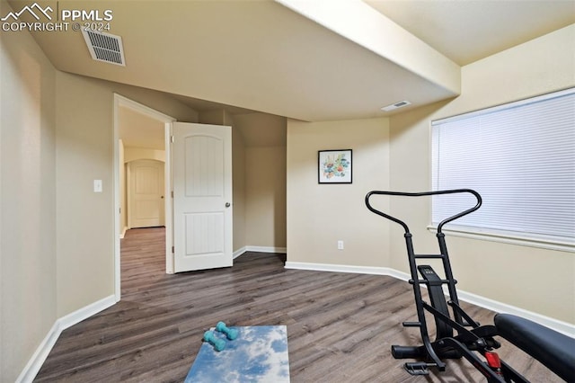 workout room featuring hardwood / wood-style flooring