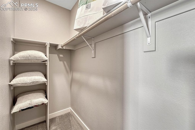 spacious closet featuring carpet flooring