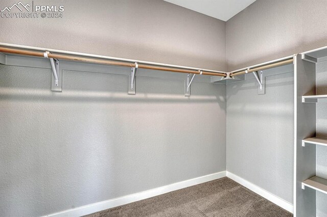 spacious closet with carpet floors