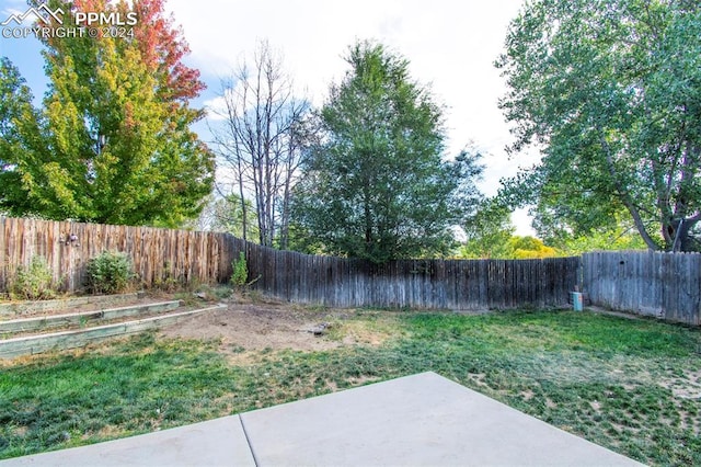 view of yard featuring a patio area