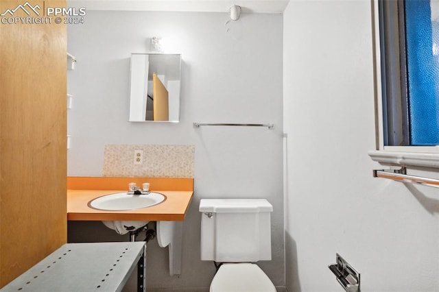 bathroom with toilet and sink