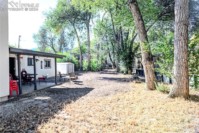 view of yard with a storage unit and a patio area