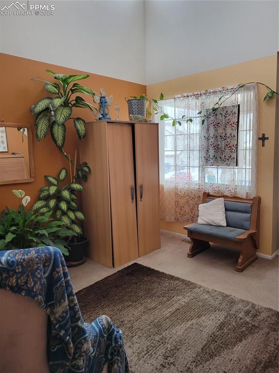 living area featuring carpet flooring