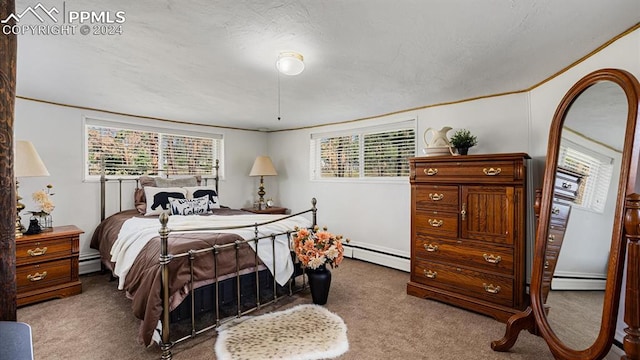 carpeted bedroom featuring baseboard heating and multiple windows