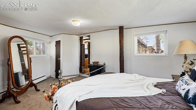 carpeted bedroom with multiple windows and a baseboard heating unit