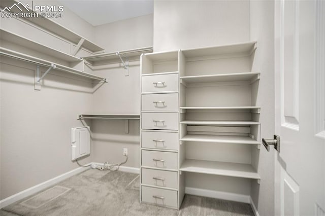 walk in closet featuring light colored carpet