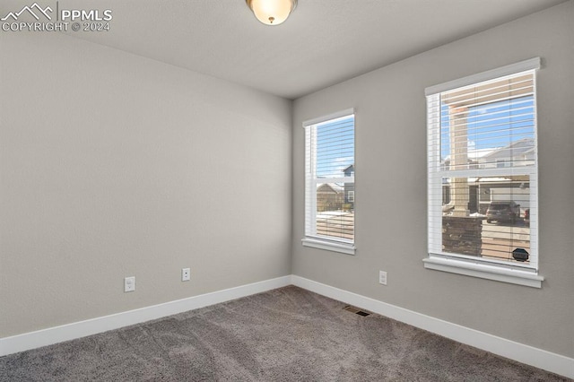 empty room with carpet flooring and plenty of natural light