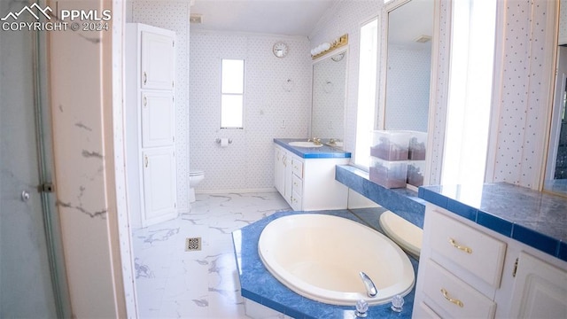 bathroom with toilet, a bathing tub, and vanity