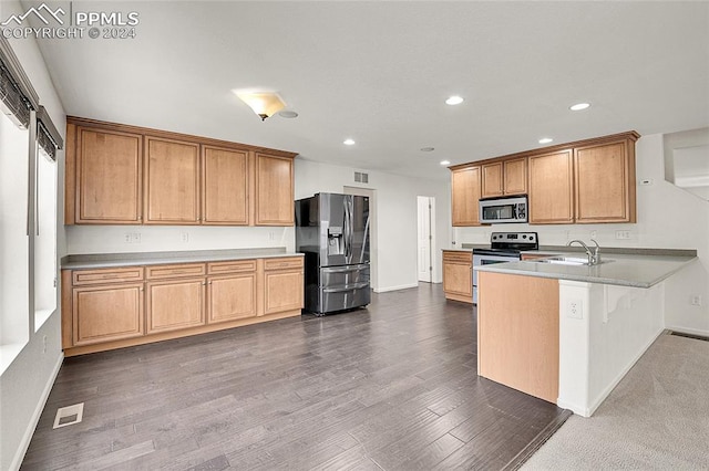 kitchen with sink, appliances with stainless steel finishes, kitchen peninsula, and dark hardwood / wood-style floors