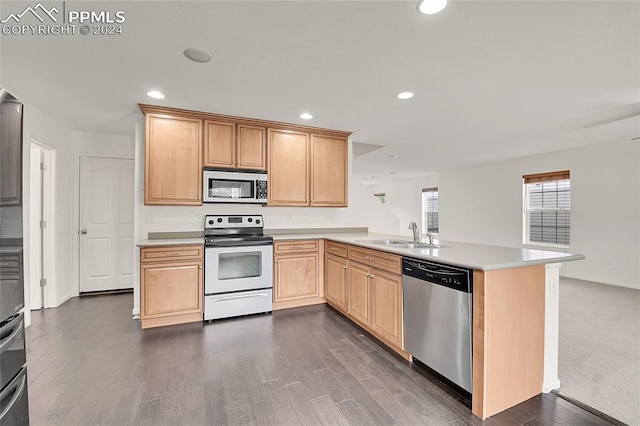 kitchen with dark wood-type flooring, stainless steel appliances, sink, and kitchen peninsula