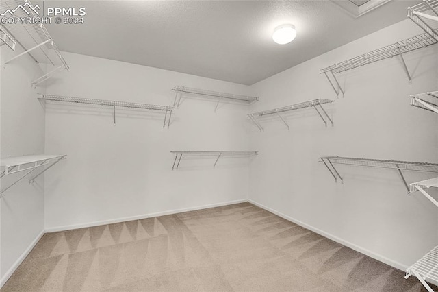 walk in closet with carpet floors