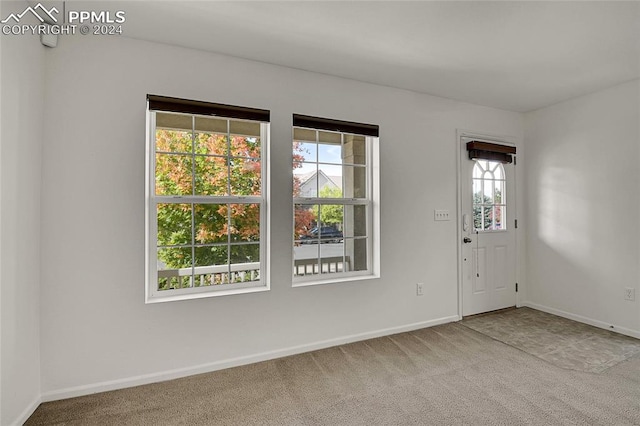 spare room featuring a wealth of natural light and light carpet