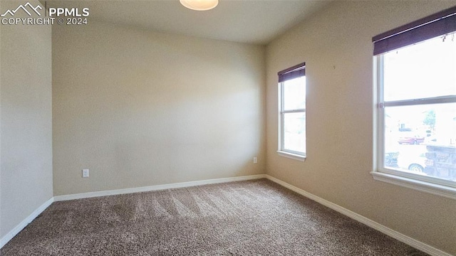 unfurnished room with carpet