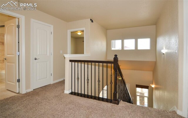 hall featuring carpet floors